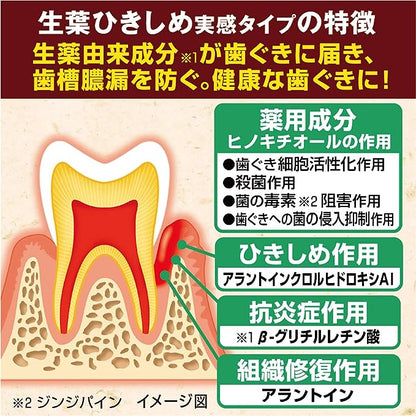 [6-PACK] KOBAYASHI Japan Toothpaste Fresh Leaves Tightening Real Type 100g